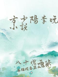 方少阳李晚晴的小说