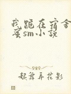 我跪在宿舍被闺蜜sm小说