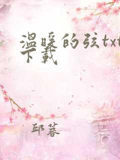 温暖的弦txt下载