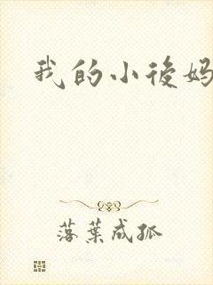 我的小后妈小说