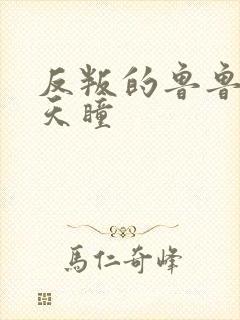 反叛的鲁鲁修之天瞳