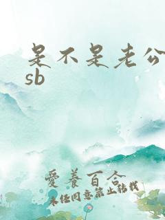 是不是老公的小sb