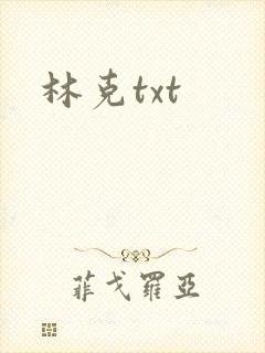 林克txt