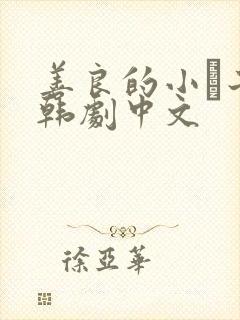 善良的小峓子2韩剧中文