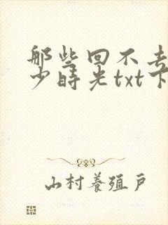 那些回不去的年少时光txt下载