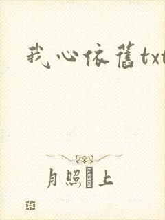 我心依旧txt