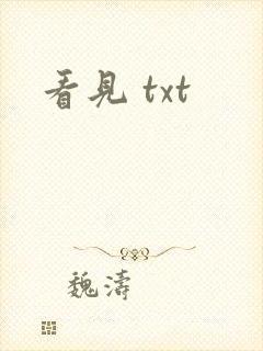 看见 txt
