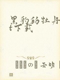 黑豹的牡丹txt下载