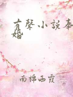 有声小说奉子成婚