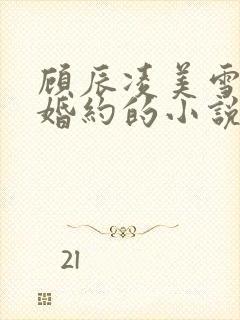 顾辰凌美雪五份婚约的小说名字叫什么