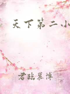 天下第二小说