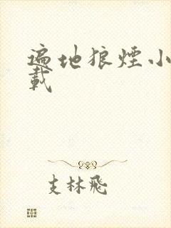 遍地狼烟小说下载