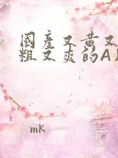 国产又黄又猛又粗又爽的A片小说