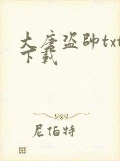 大唐盗帅txt下载