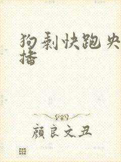 狗剩快跑央八首播