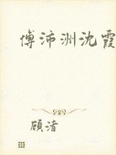 傅沛洲沈霞小说