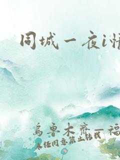 同城一夜i情