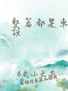 整篇都是车的小说