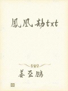 凤凰劫txt