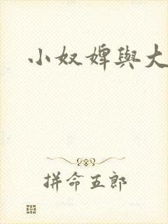 小奴婢与大少爷