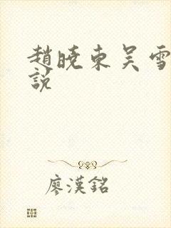 赵晓东吴雪晴小说