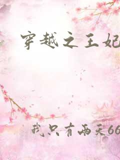 穿越之王妃有孕