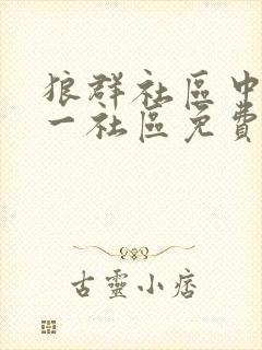 狼群社区中文第一社区免费