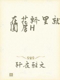 在花轿里就开始圆房H