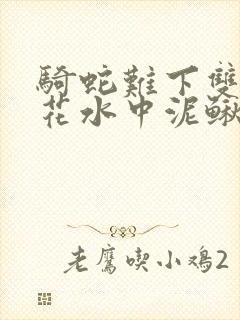 骑蛇难下双金银花水中泥鳅