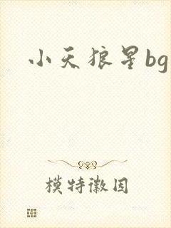 小天狼星bg