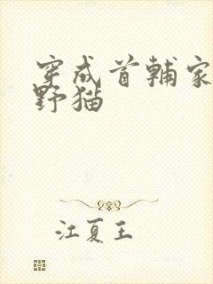 穿成首辅家的小野猫