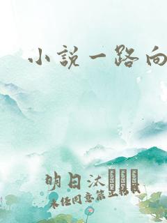 小说一路向西