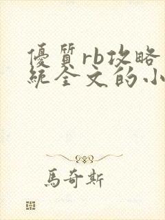 优质rb攻略系统全文的小说