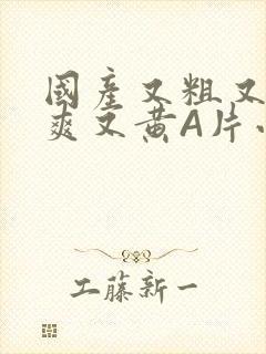 国产又粗又猛又爽又黄A片小说