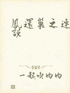 凤还巢之连城小说