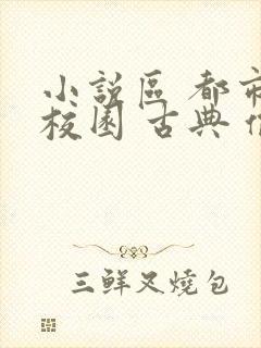 小说区 都市 校园 古典 偷拍