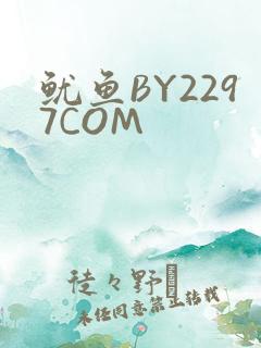 鱿鱼BY2297COM
