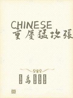 CHINESE重庆猛攻张先生