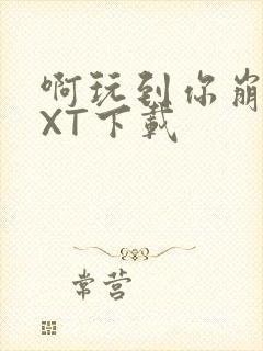 啊玩到你崩溃TXT下载