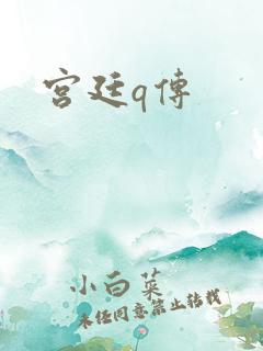 宫廷q传