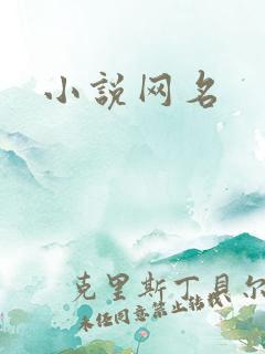 小说网名