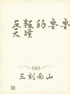 反叛的鲁鲁修之天瞳