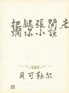 把腿张开老子臊烂你小说