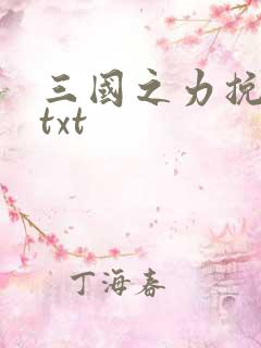 三国之力挽狂澜txt
