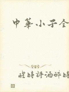 中华小子全集