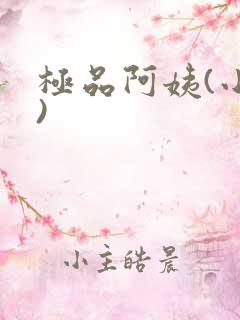 极品阿姨(小说)