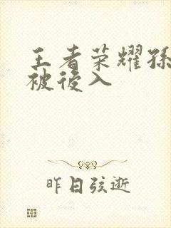 王者荣耀孙尚香被后入