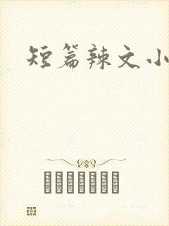 短篇辣文小说