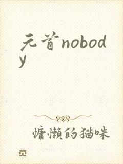 元首nobody