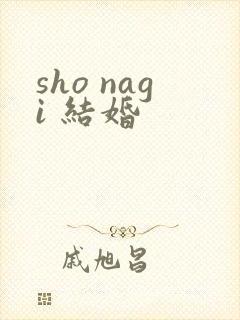 sho nagi 结婚